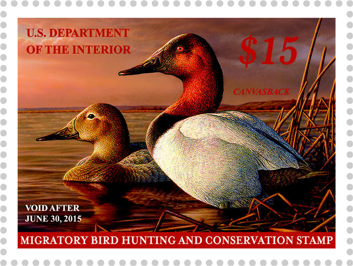 2014-2015 duck stamp 700
