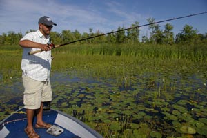 Bass angler fishing in a bed of weeds