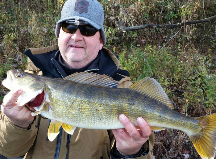 This 29-inch walleye fell to a bucktail jig. 
