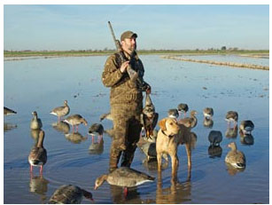 Waterfowl hunter with decoys & dog