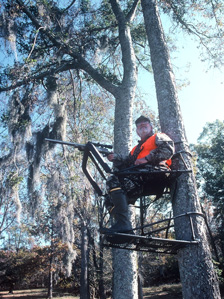 Hunting From The Stand