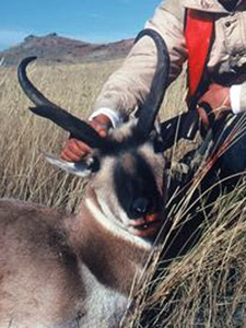 Hunter and Pronghorn
