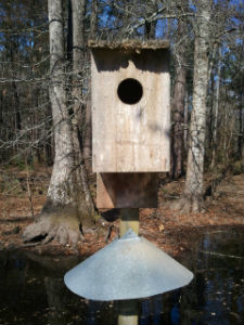 Wood Duck nesting box