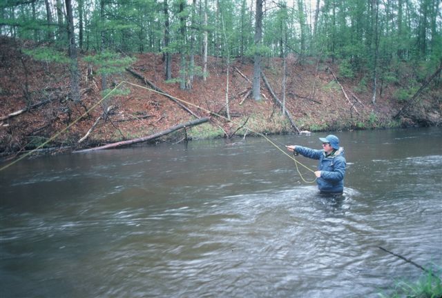 fly fishing gerald almy