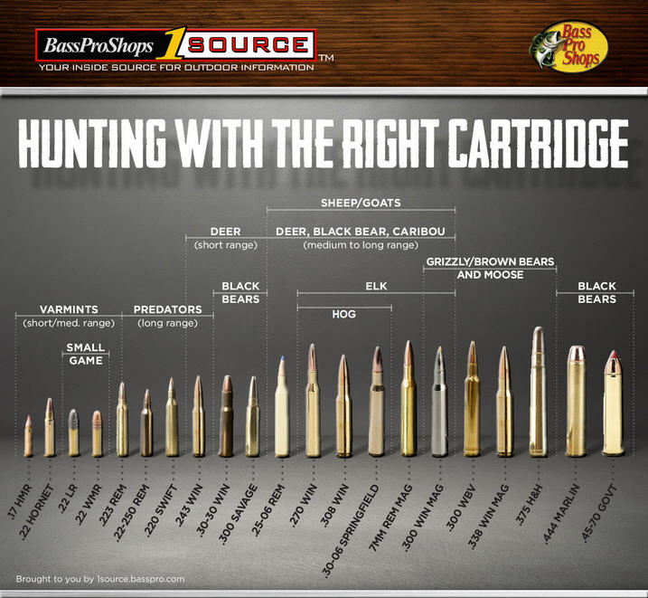 Rifle ammo buying guide chart