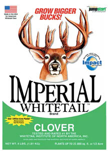 Clover Wild Game Seed