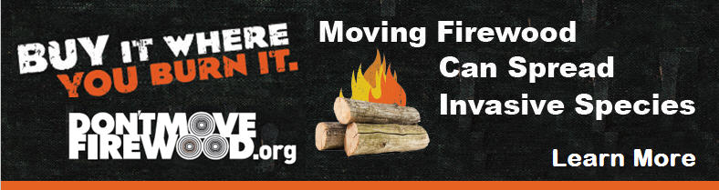 FAQs - Don't Move Firewood.org
