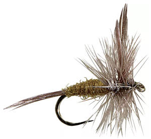 White River Fly Shop Blue-Winged Olive Flies 