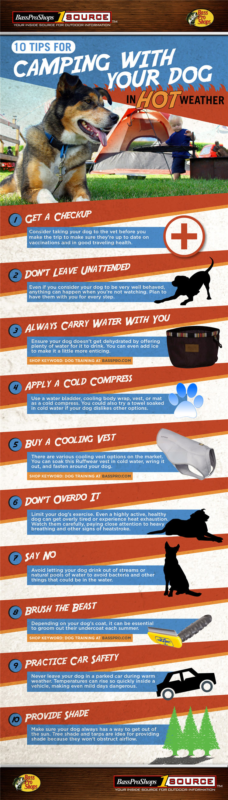 pet camping 750 infographic