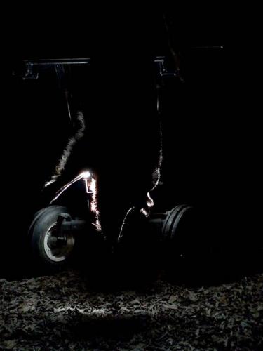 Braggin' Board Photo: hanging hog