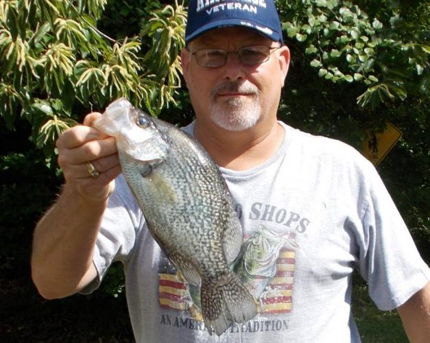 Crappie 13 1/2 inches Braggin' Board Photo: Crappie 13 1/2 inches