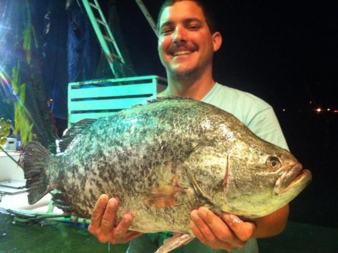 Braggin' Board Photo: Tripletail 556668 4229310897140 413136227 n