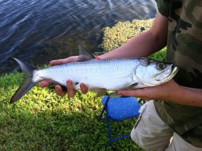 Braggin' Board Photo: Fishing