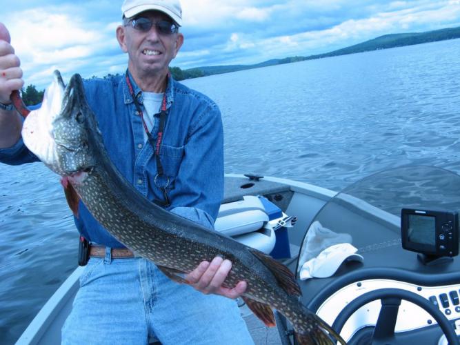 36 inch, 10 lb  Pike Braggin' Board Photo: 36 inch, 10 lb  Pike