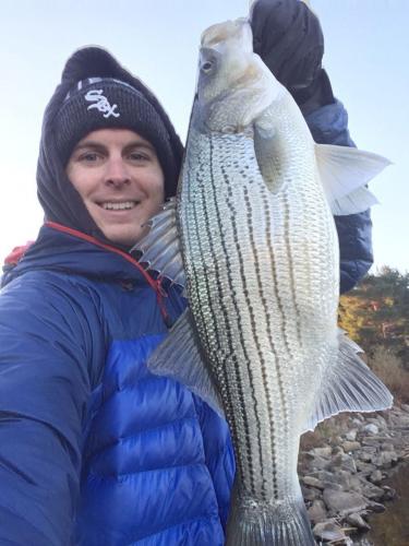 Nice Hybrid Braggin' Board Photo: Nice Hybrid