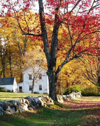 Braggin' Board Photo: New England Back Road