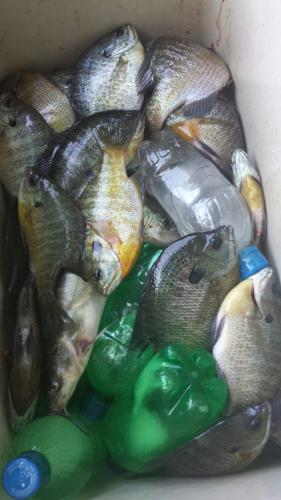 Braggin' Board Photo: Keeping These Babies on Ice