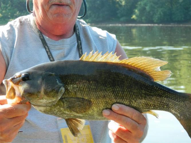 Braggin' Board Photo: Smallie in low water.