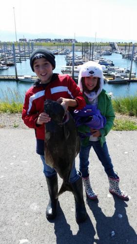 Braggin' Board Photo: Catching Halibut