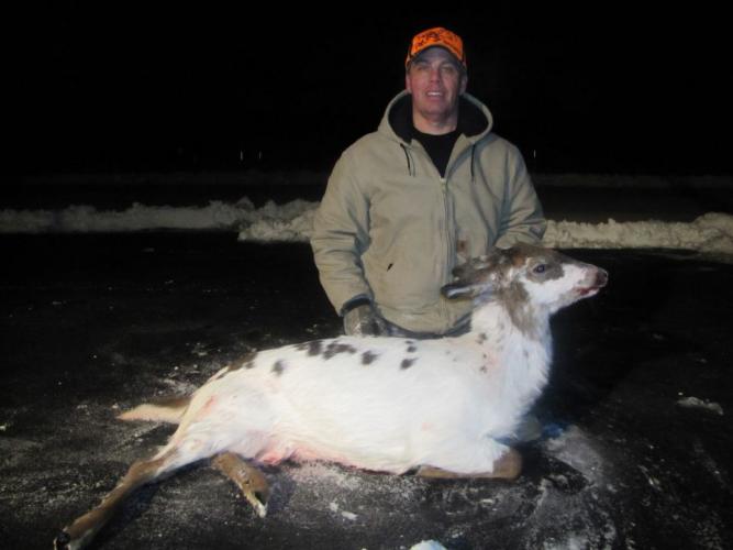 Braggin' Board Photo: NJ Piebald Deer 2014