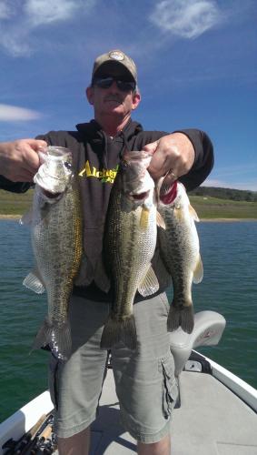 Braggin' Board Photo: 3 Largemouth Beauties