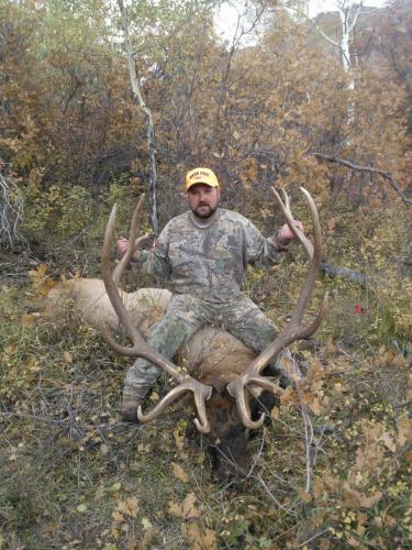 Braggin' Board Photo: 2013 Elk