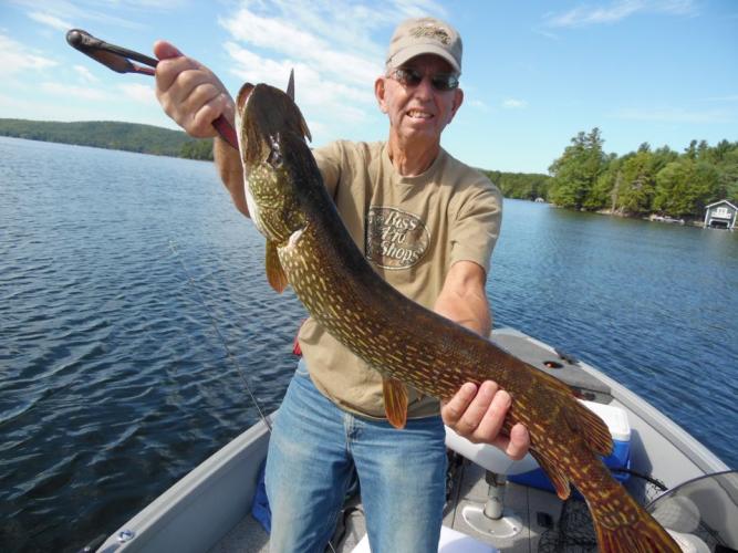 34 inch Pike Braggin' Board Photo: 34 inch Pike
