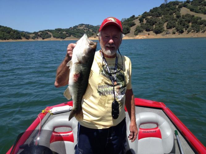 2014 7 lb Largemouth post spawn Braggin' Board Photo: 2014 7 lb Largemouth post spawn