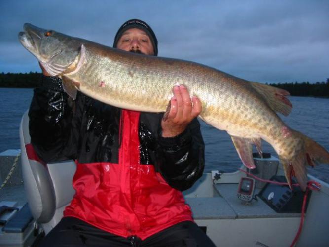 Braggin' Board Photo: Canadian Muskie