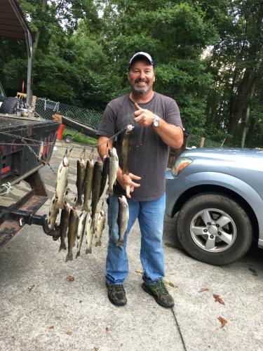 A good day trout fishing for this angler holding two stringers of trout next to his boat.