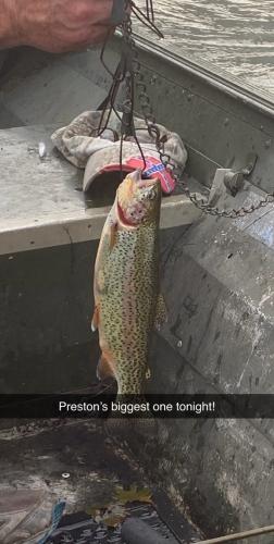 Inside an aluminum boat, you see only the anglers hands holding up a stringer with one rainbow trout.