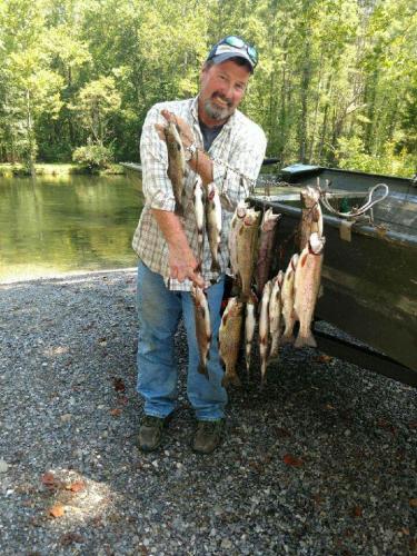 Braggin' Board Photo: lots of trout fish caught