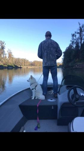 Angler staning on boat fishing with his back to the camera and his dog by his side