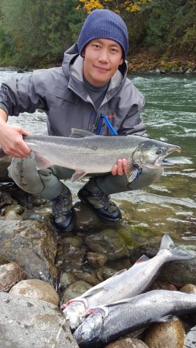 Salmon angler squating on the rocks holdin up one coho salmon while two others lay near by