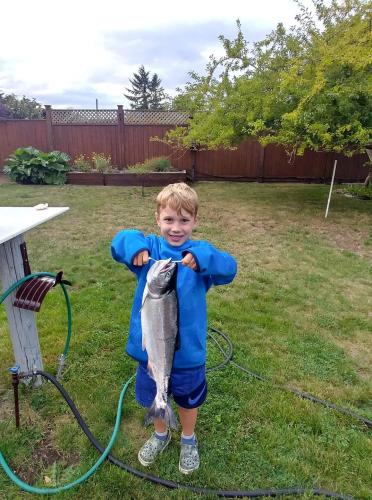 Young boy standing in his yard holding a 6lbs pink salmon that is almost as big as he is