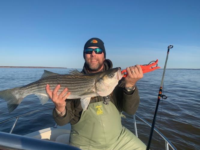 Nice striped bass for this angler.