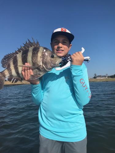 Nice Sheepshead held up by a young anger