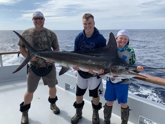 3 People hold a blue marlin