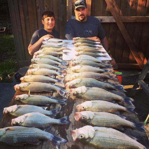 Father son with a large catch of bass