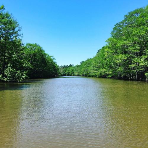 River view