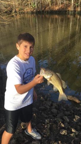 Nice Bass