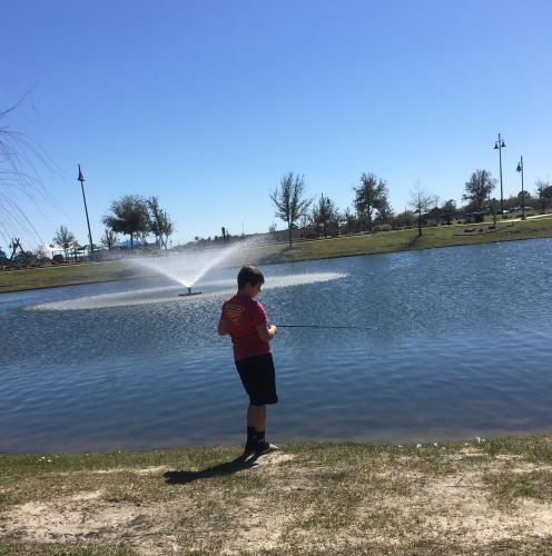 Boy fishing in a pond