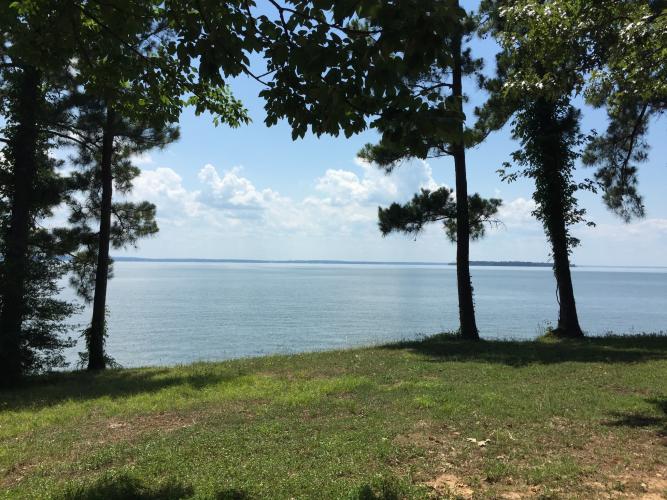 View of the lake through trees from the shore