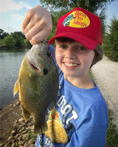 Nephew Catching big Bluegill