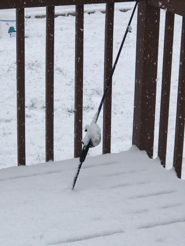 Rod and reel on a deck covered in snow