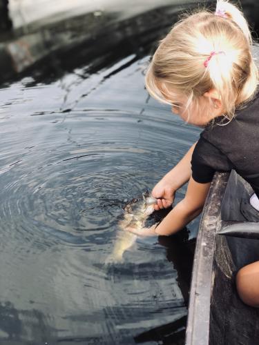 Young girl putting fish back into the water