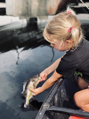 Young girl gently putting a fish back in the water