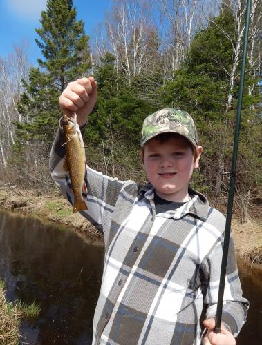 Young trout angler holding up a trout