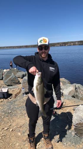 Angler holding stripe bass