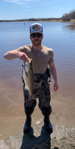 Angler and Striper Bass